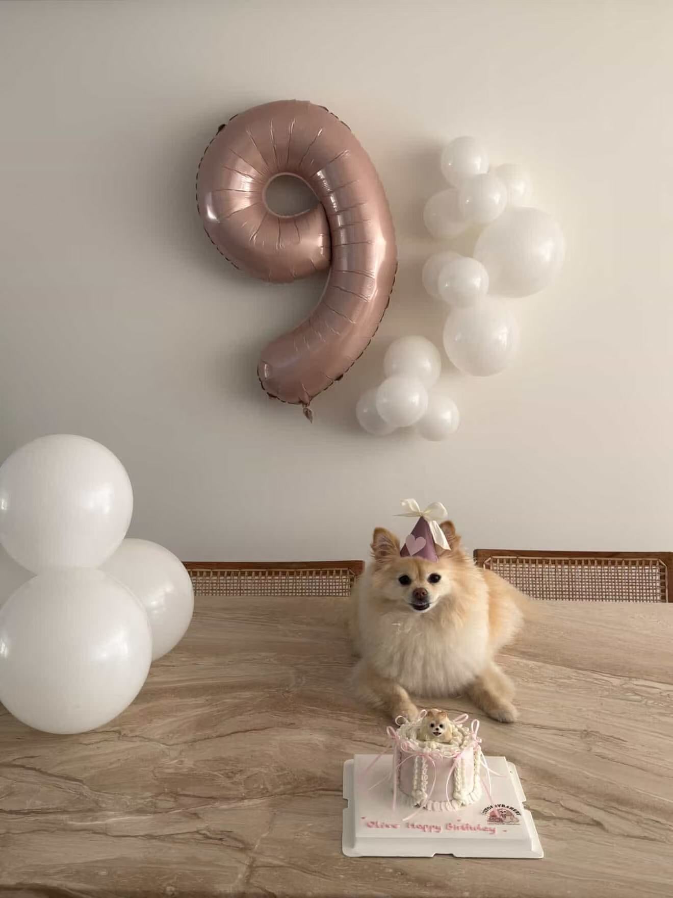 A Ribbon Cake (for Dogs and Cats)