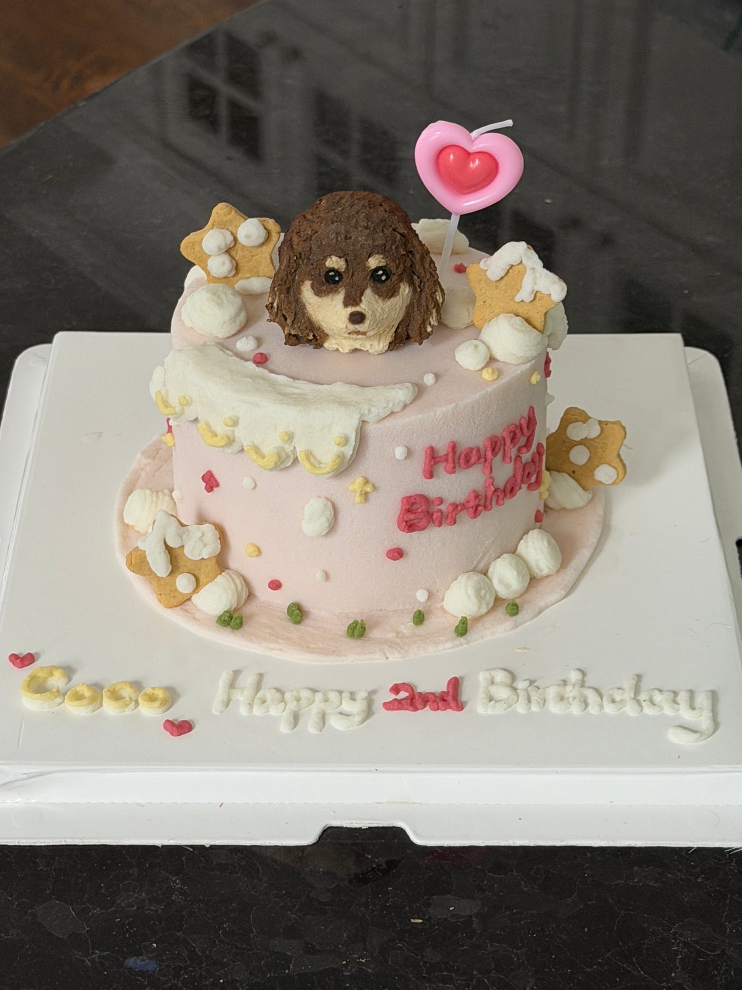 A Dreamy Star Cake (for Dogs and Cats)