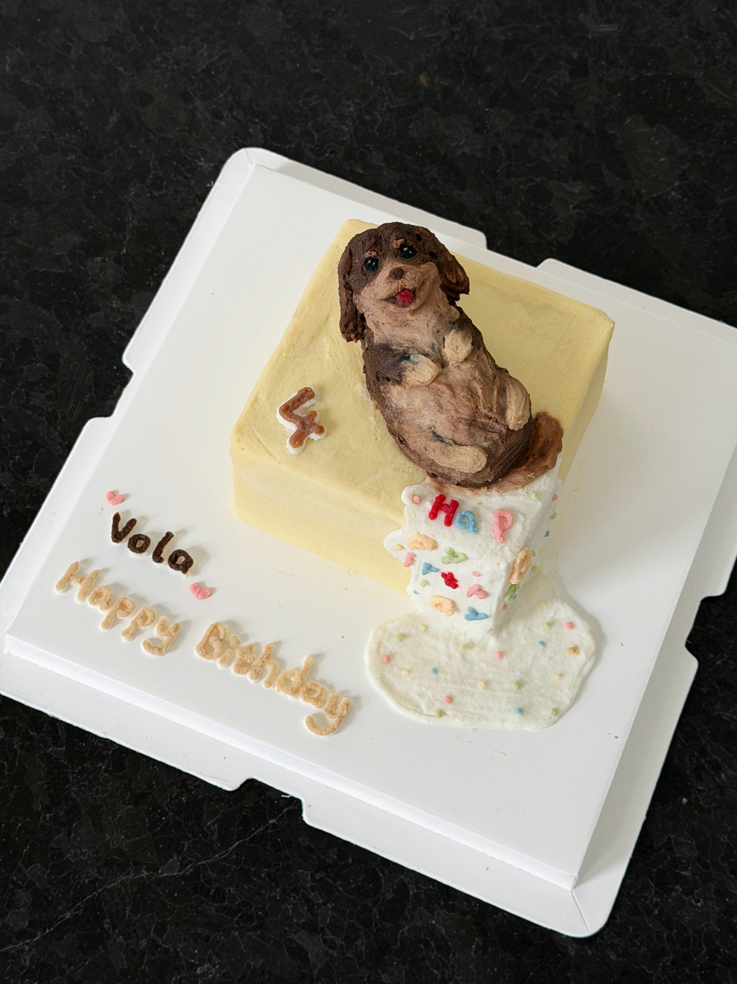 A Cozy Square Cake (6-inch) (for Dogs and Cats)