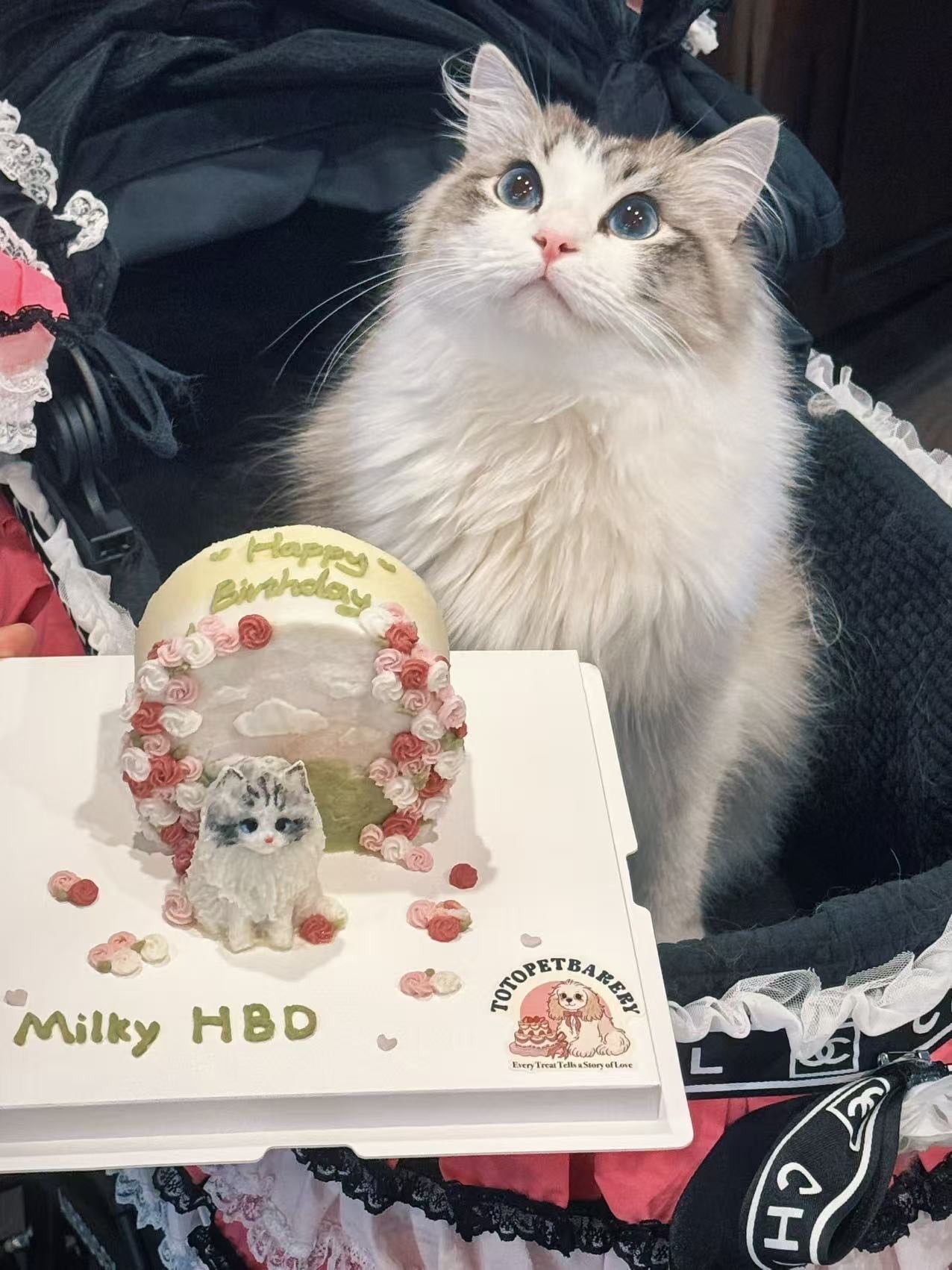 A Blossom Meadow Cake
