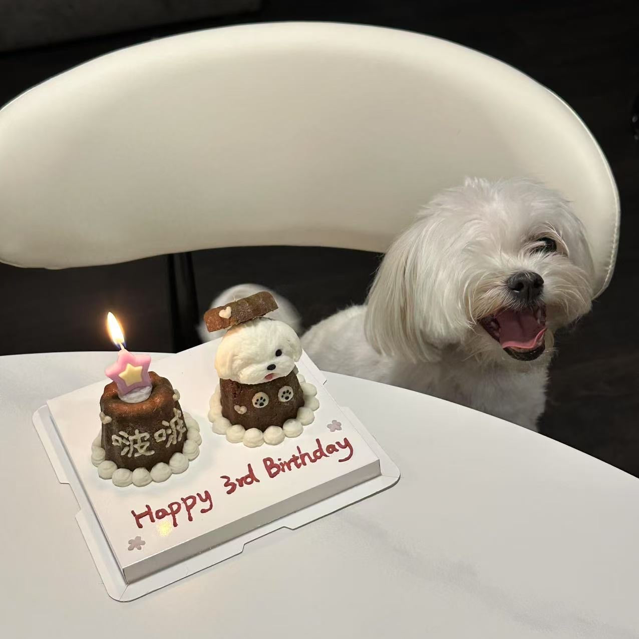 Pup Canelé Cake Set