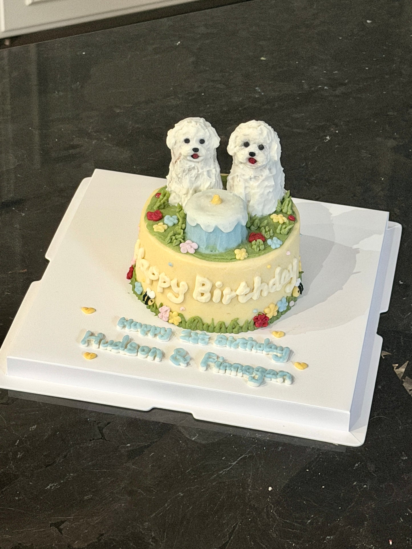 A Garden Scenes Cake (for Dogs and Cats)