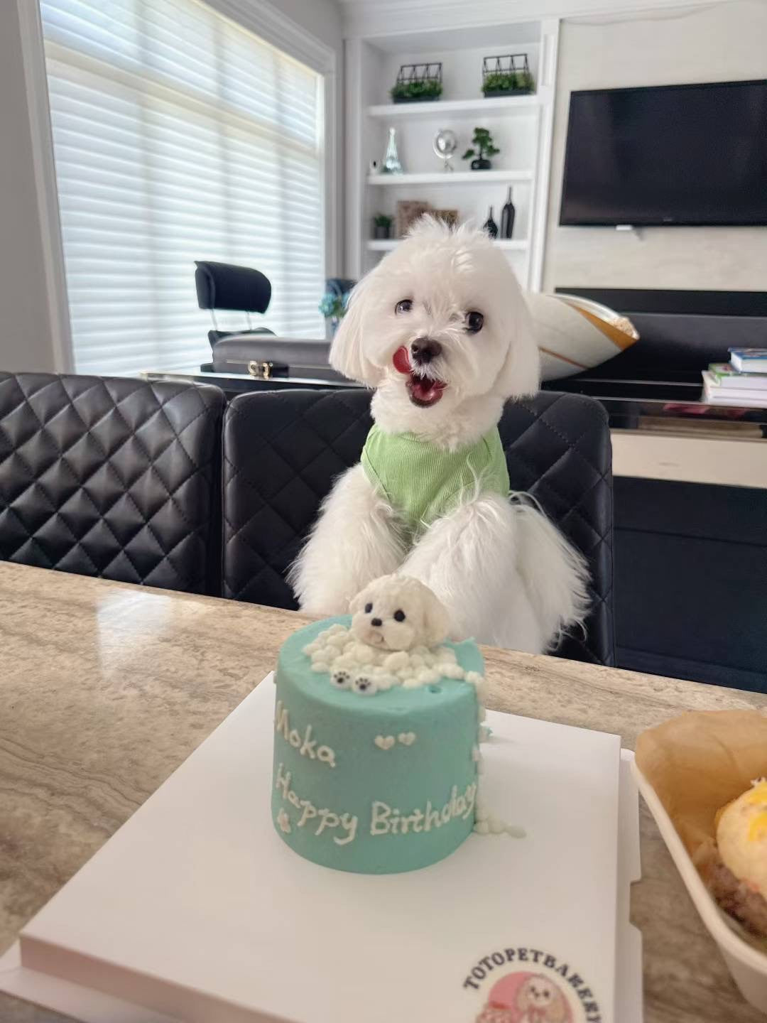 A Bath Time Cake (for Dogs and Cats)