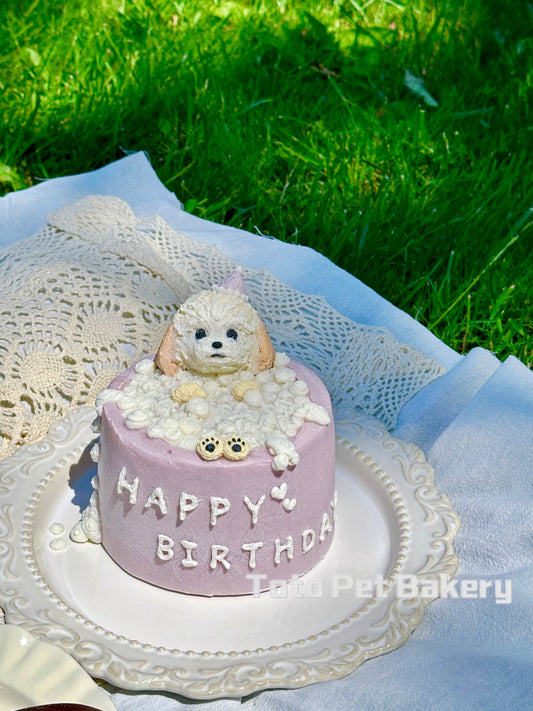 A Bath Time Cake (for Dogs and Cats)