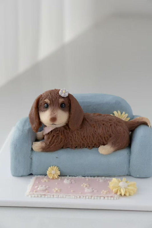 A Sofa Cake (for Dogs and Cats)