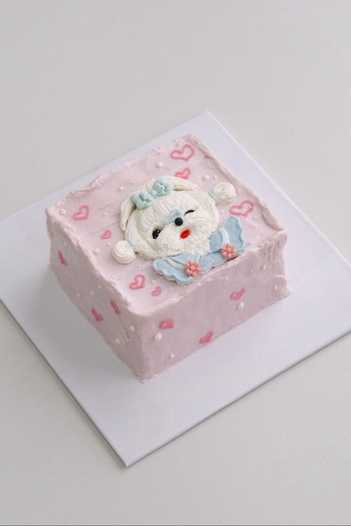 A 3-Inch Pure Meat Square Cake (for Dogs & Cats)