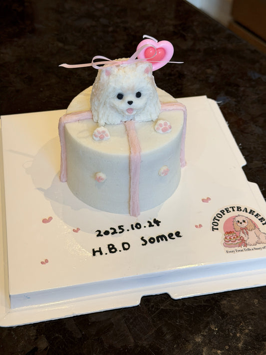 A Gift Box Cake 4-inch (for Dogs & Cats)