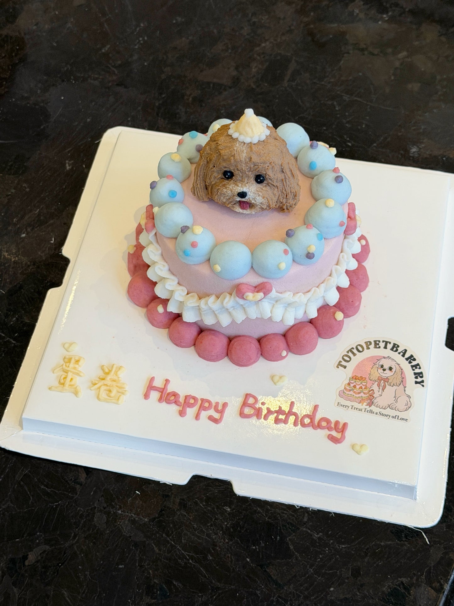 A Pastel Party Cake (for Dogs & Cats)