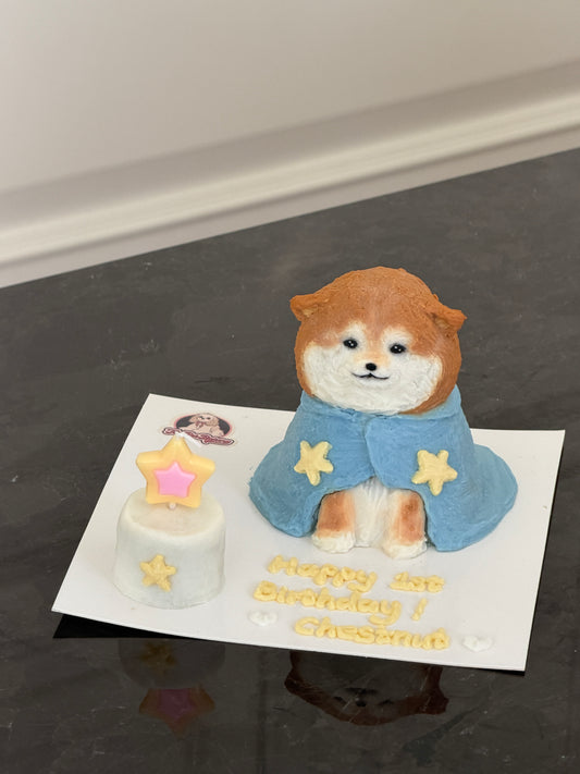 A Starry Cape Cake (4-inch) (for Dogs and Cats)