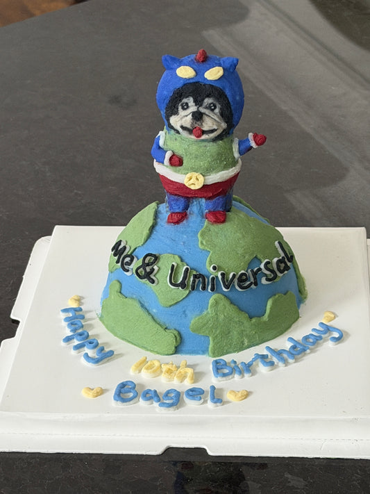 A Super Pet Universe Cake (6-inch) (for Dogs and Cats)