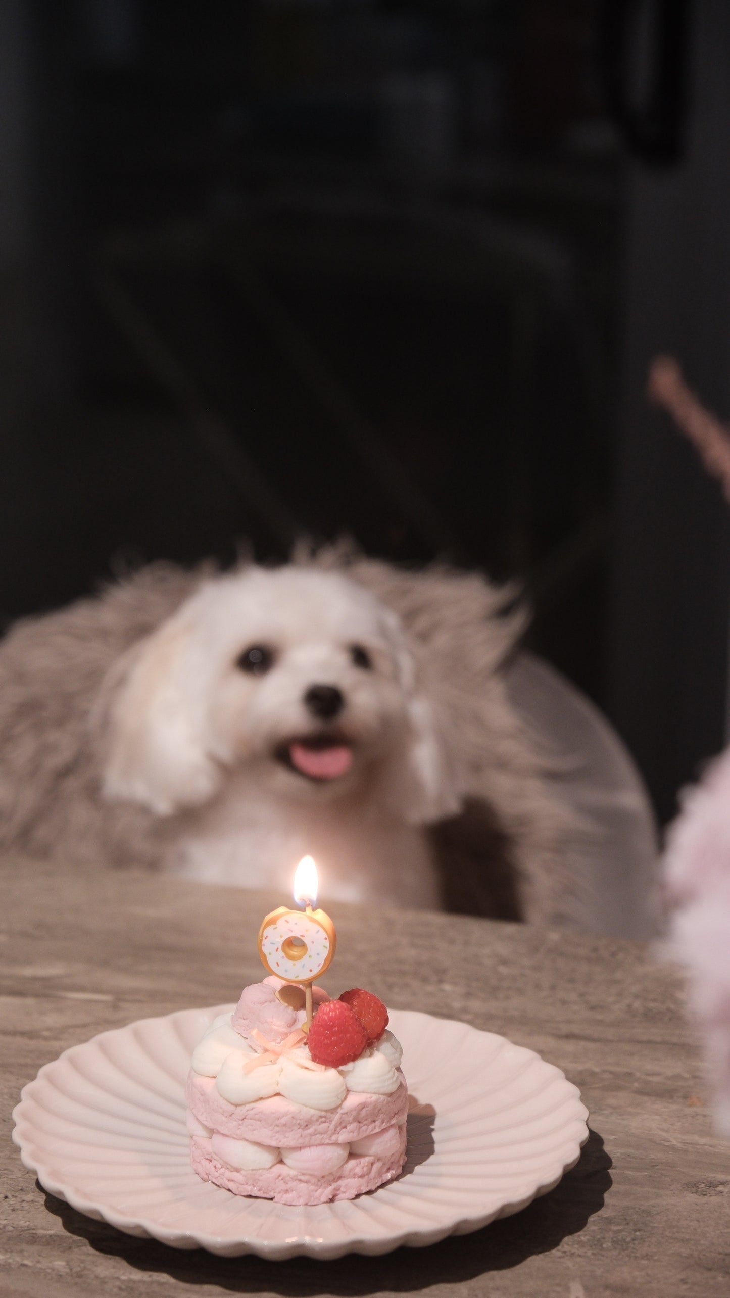 Naked Pup Cake (3-Inch)