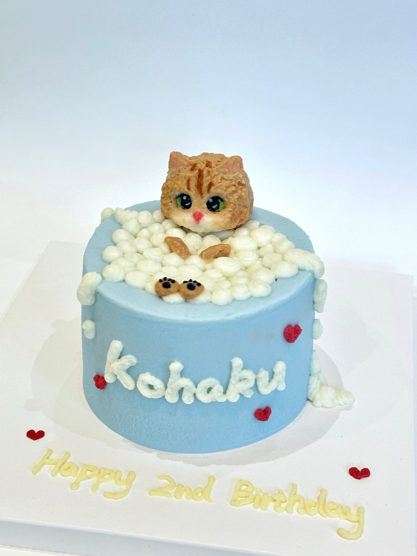 A Toto Scene Series – Bath Time