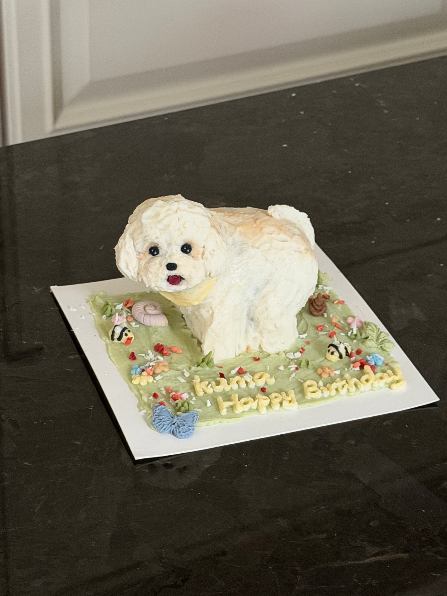 A Dog Poop Theme Cake (for Dogs & Cats) (4 inch)