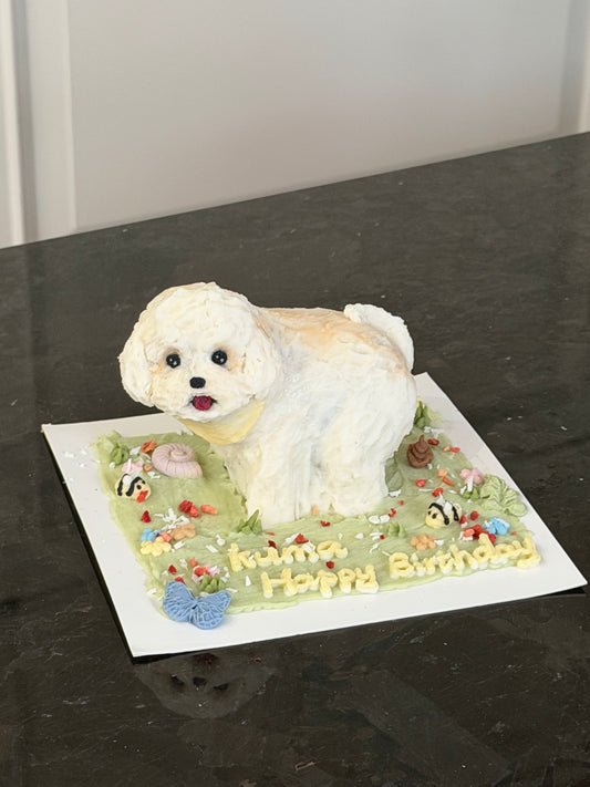 A Dog Poop Theme Cake (for Dogs & Cats) (4 inch)