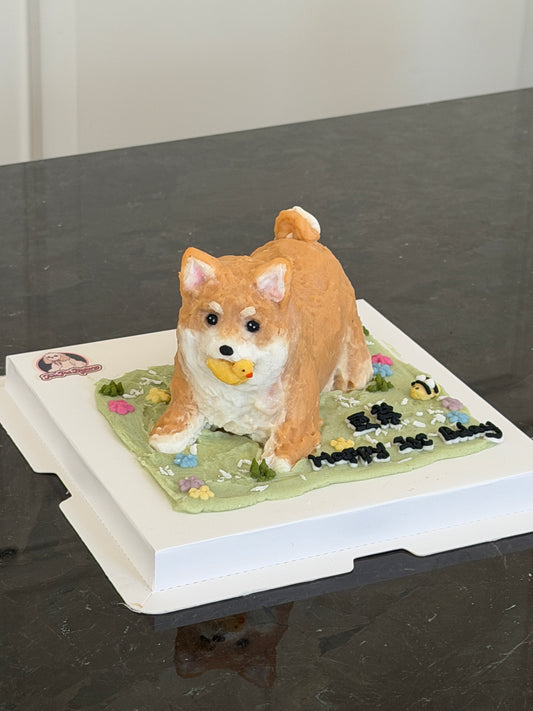 A Playtime Cake (for Dogs & Cats) (4 inch)