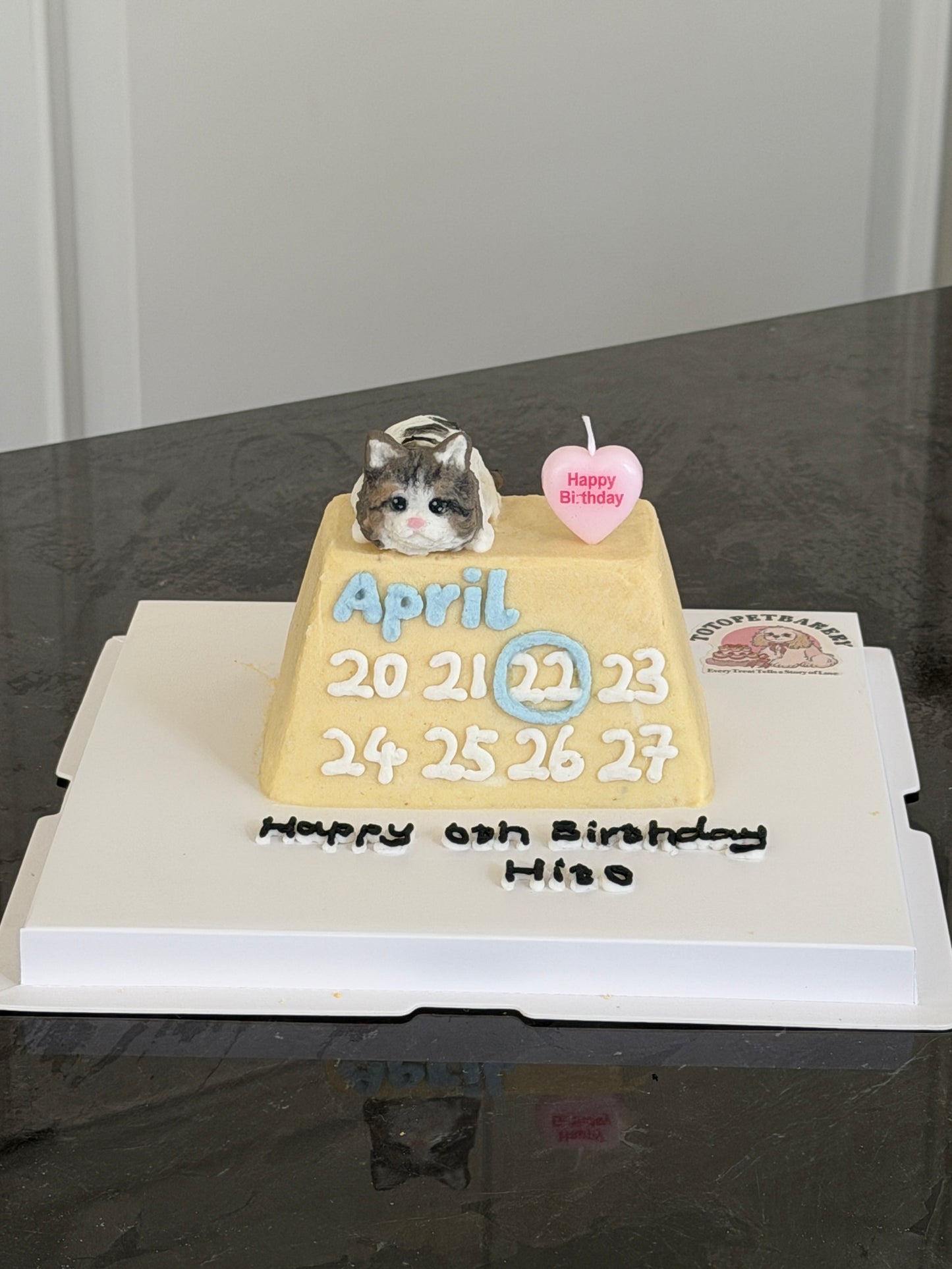 A Cute Calendar Cake (for Dogs &Cats) (6 inch)