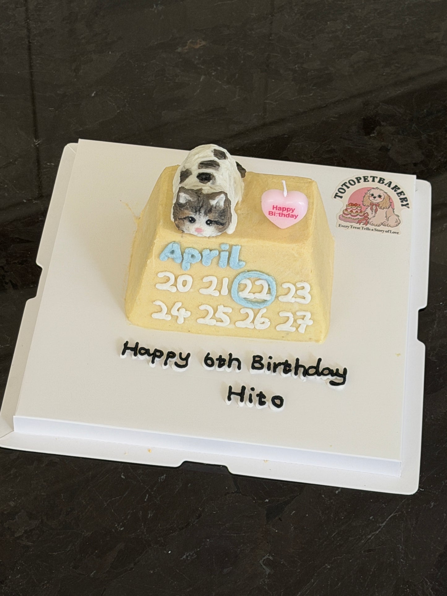 A Cute Calendar Cake (for Dogs &Cats) (6 inch)