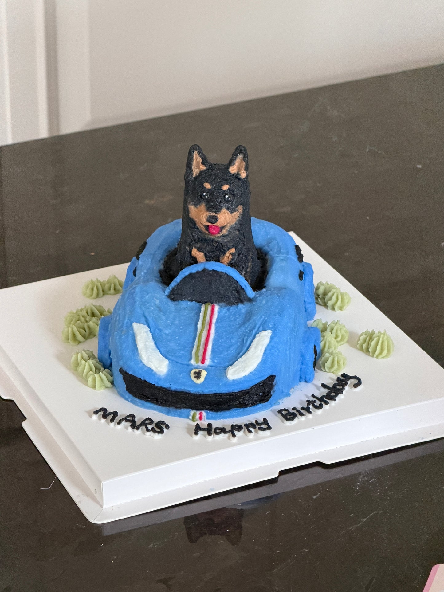 A Road Trip Pup Cake (6 inch) (for Dogs &Cats)