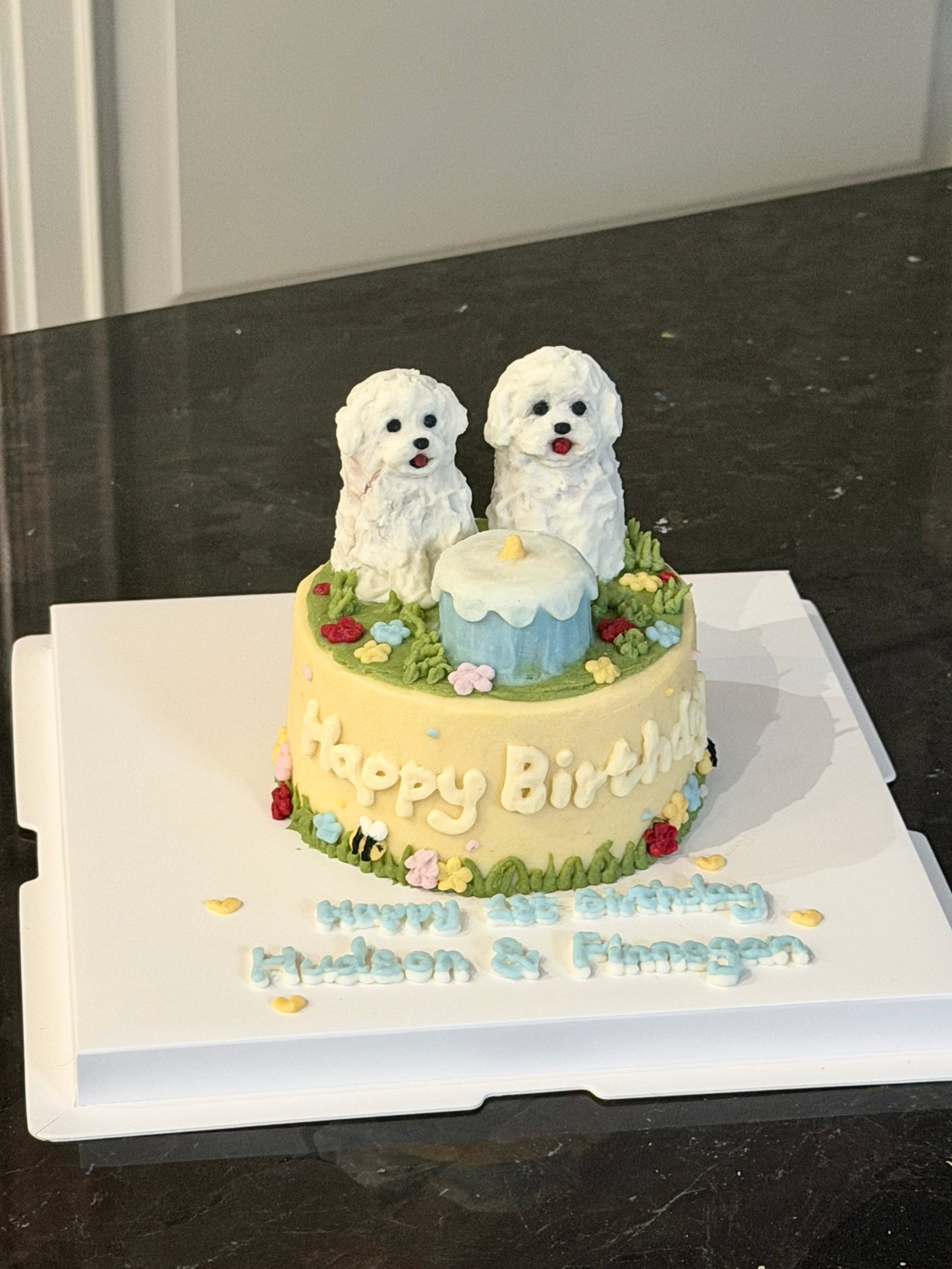 A Garden Scenes Cake (for Dogs and Cats)