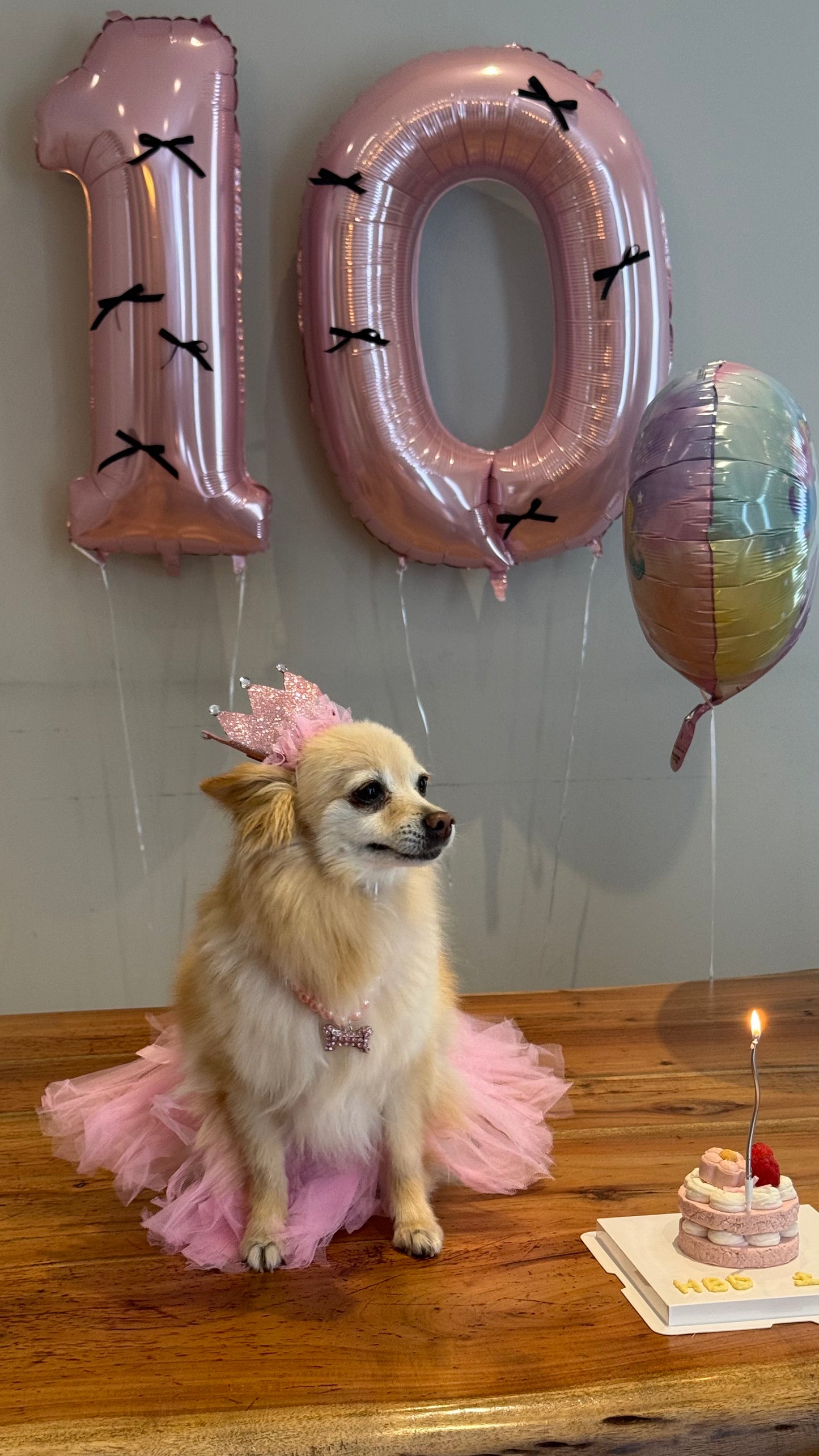 Naked Pup Cake (3-Inch)